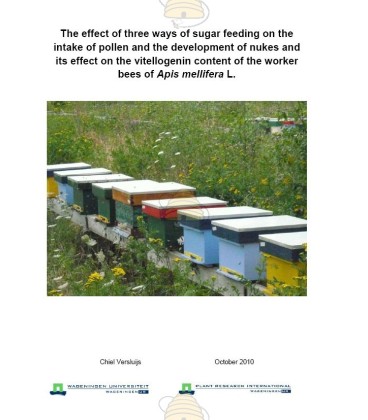 Die Wirkung von drei Arten der Zuckerfütterung auf Honigbienen vollständiger Bericht
