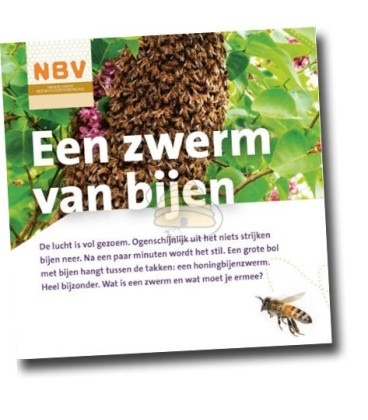 NBV Ein Bienenschwarm (40 Stück)