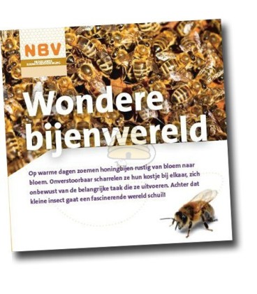 NBV Wunderbare Bienenwelt (40 Stück)