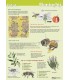 Poster helfen der Honigbiene A1