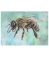 Postkarte Seitenansicht Honigbiene blau