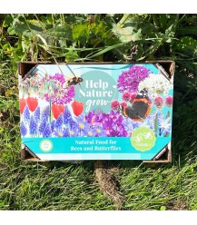'Help de natuur groeien!' box (75 bloembollen)