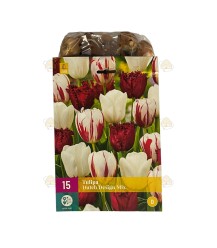 Tulpen Dutch Design bloembollen mix 10 stuks