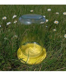 Glasgefäß Trinkschale gelb - BeeFun®