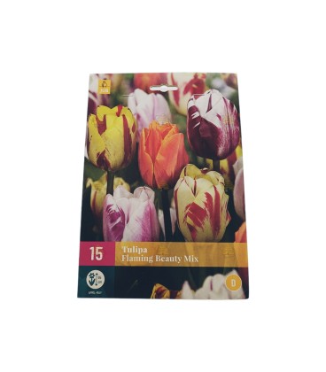 Tulipa flaming beauty kleuren mix 15 stuks (bloembollen)