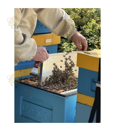 Isolerende broedkamer scheidingswand - Dadant US Isolerende broedkamer scheidingswand - Dadant US