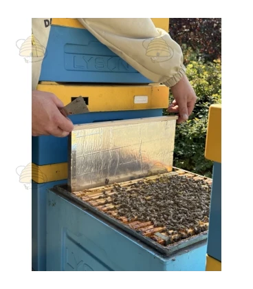 Isolerende broedkamer scheidingswand - Dadant US Isolerende broedkamer scheidingswand - Dadant US