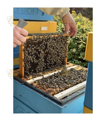 Isolerende broedkamer scheidingswand - Langstroth