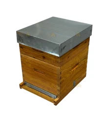 Dadant Blatt bijenkast (1BK, 1HK) - geïmpregneerd Dadant Blatt bijenkast (1BK, 1HK) - geïmpregneerd