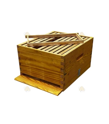 Langstroth US enkelwandige bijenkast (1BK) - geïmpregneerd Langstroth US enkelwandige bijenkast (1BK) - geïmpregneerd