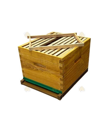 Langstroth US enkelwandige bijenkast (1BK) - geïmpregneerd & Nicot bodem Langstroth US enkelwandige bijenkast (1BK) - geïmpregneerd & Nicot bodem