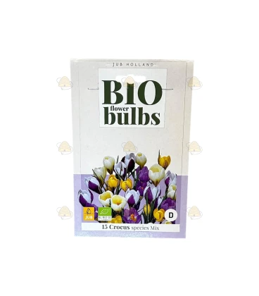 Crocus species Mix, 15 stuks (bloembollen, bio)