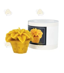 Weihnachtsstern - Gießform