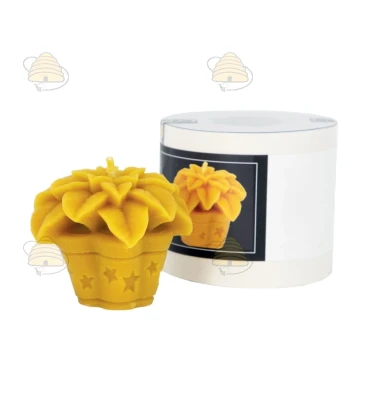 Weihnachtsstern - Gießform Weihnachtsstern - Gießform