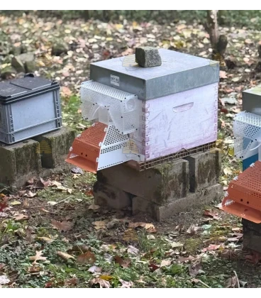 Aziatische hoornaar bijenkast beschermkooi inclusief val