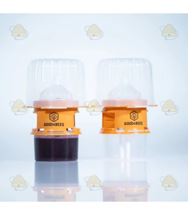 Selektive Asiatische Hornissenfalle mit Diffusionstechnologie