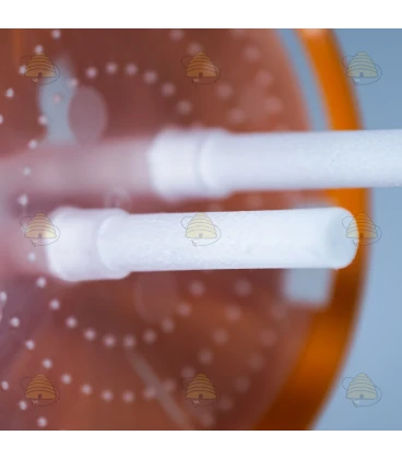 Selektive Asiatische Hornissenfalle mit Diffusionstechnologie