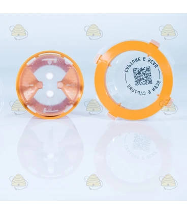 Selektive Asiatische Hornissenfalle mit Diffusionstechnologie