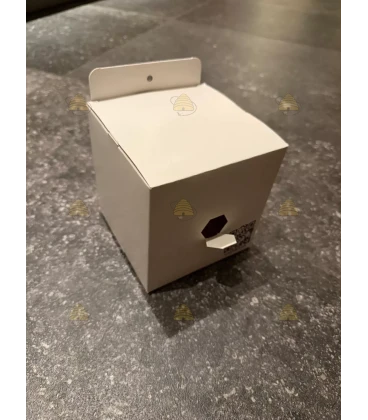 Ahembriox - Aziatische Hoornaar Koninginnen val