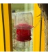 Extra lokstofcontainer - Good4Bees
