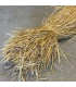 Roggestro bundel lang - 3 kg