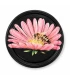 Biene auf rosa Margerite 63 mm TO Deckel -  60 Stück