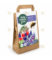Bienenmischung 80 Blumenzwiebeln in einer Tüte