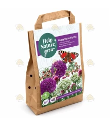 Glückliche-Schmetterlings-Mischung – 40 Blumenzwiebeln