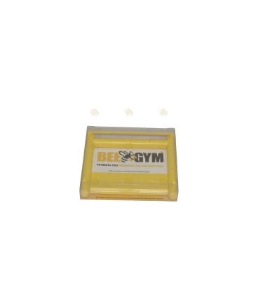 Bee Gym (Bienenfitness)