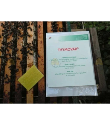 Thymovar gegen Varroa (REG NL 10330)