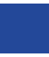BeeFun® Farbe für Styroporbeuten - marineblau