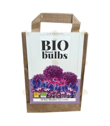 Geschenktüte Bio-Blumenzwiebeln 40 Stk.