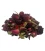 Rosenknospen für Seife und Kosmetik - 10 Gramm